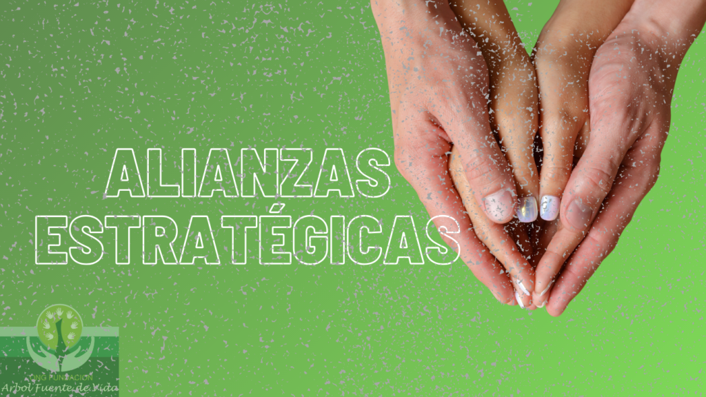 La ONG ÁRBOL FUENTE DE VIDA es consciente del rol fundamental que juegan las empresas en nuestra sociedad, tanto por su poder de inclusión como de transformación social. Las alianzas entre ONG y organizaciones solidarias son clave para mejorar la vida de las personas refugiadas.Nuestros apoyos estratégicos son importante para el crecimiento y la mejora de la calidad de vida de nuestros integrantes y sus familias.